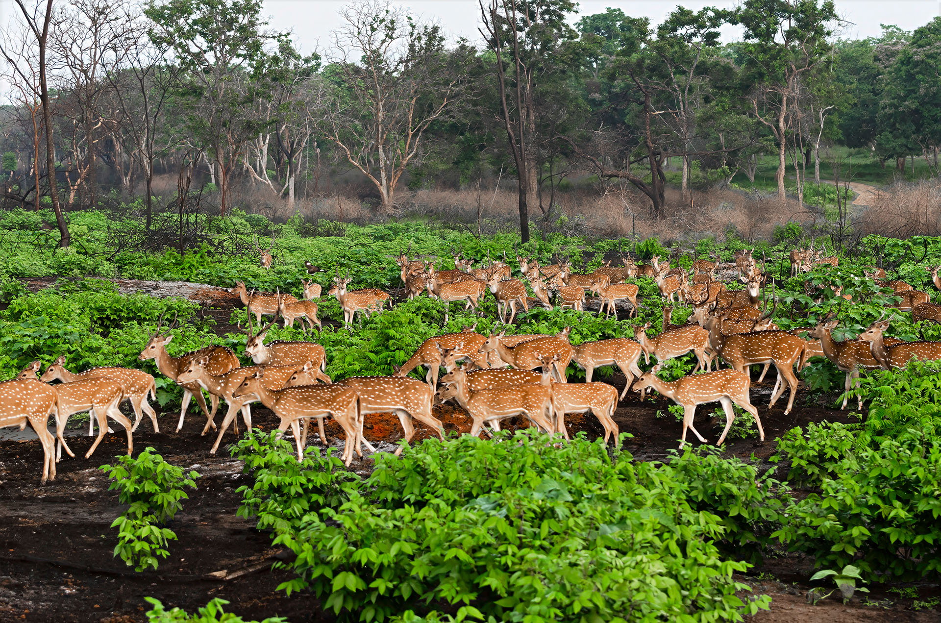 DSC_0036-Edit.jpg