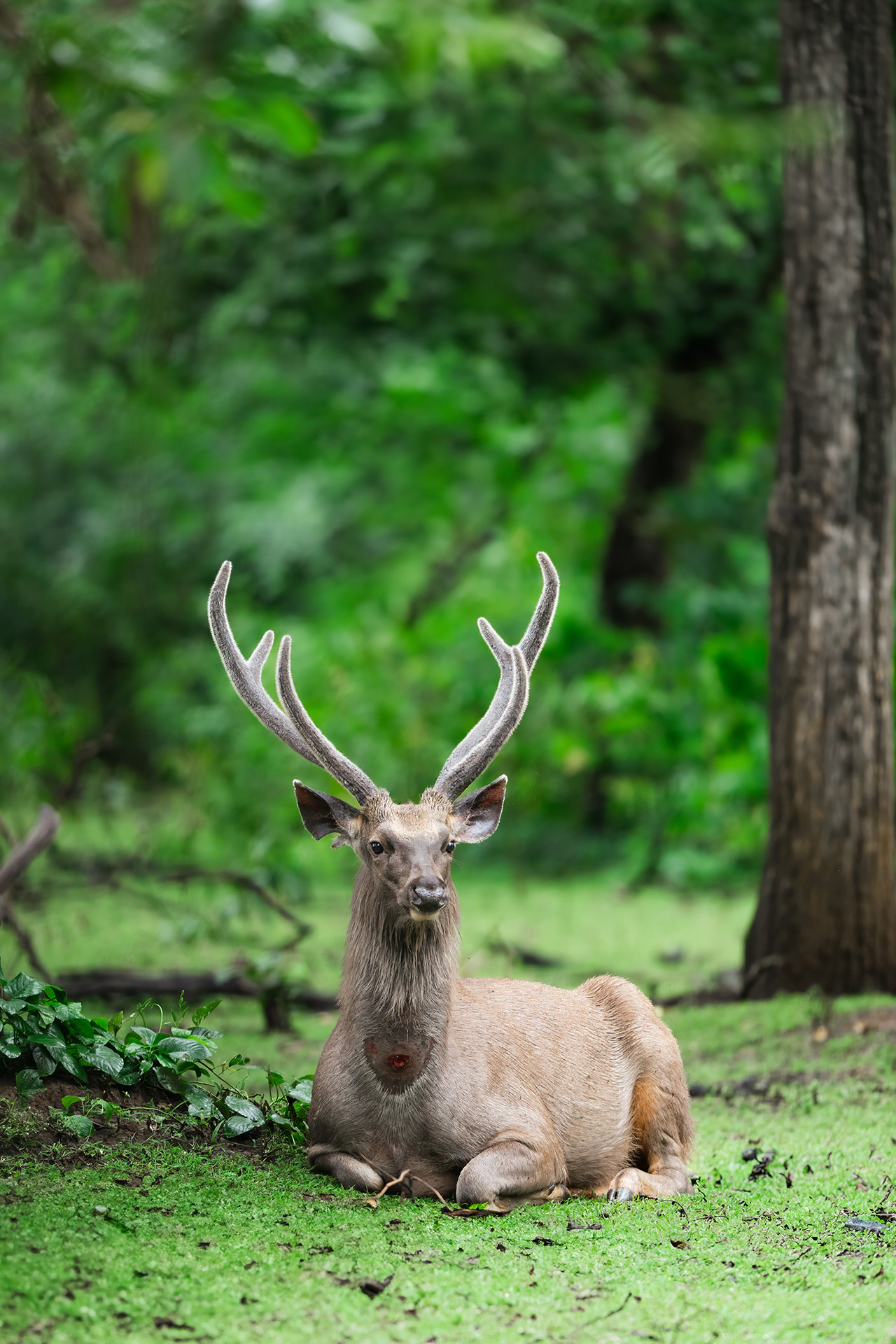 _DSC2149-Edit-3.jpg