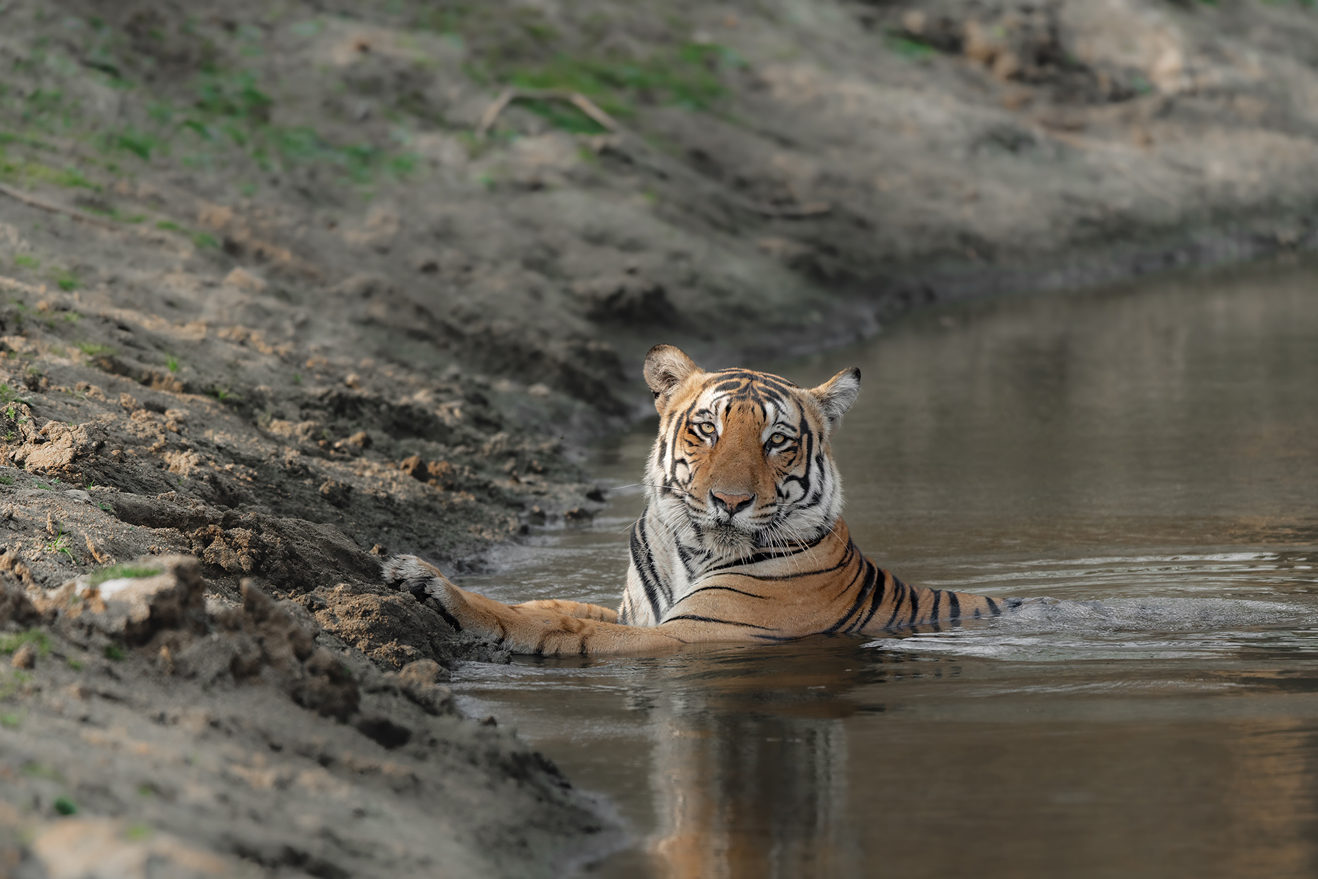 _DSC3600-Edit.jpg
