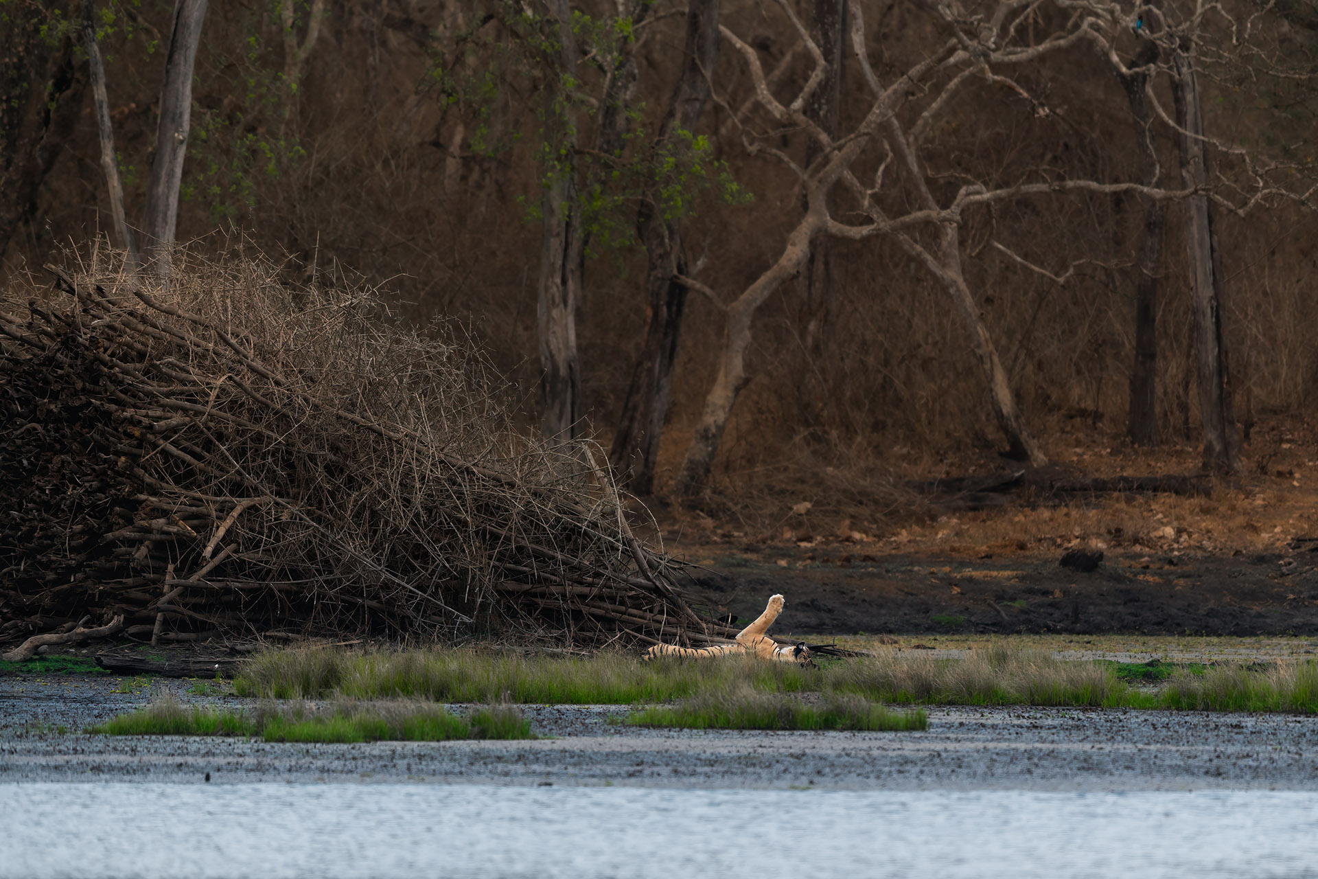 _DSC3654-Edit-2.jpg