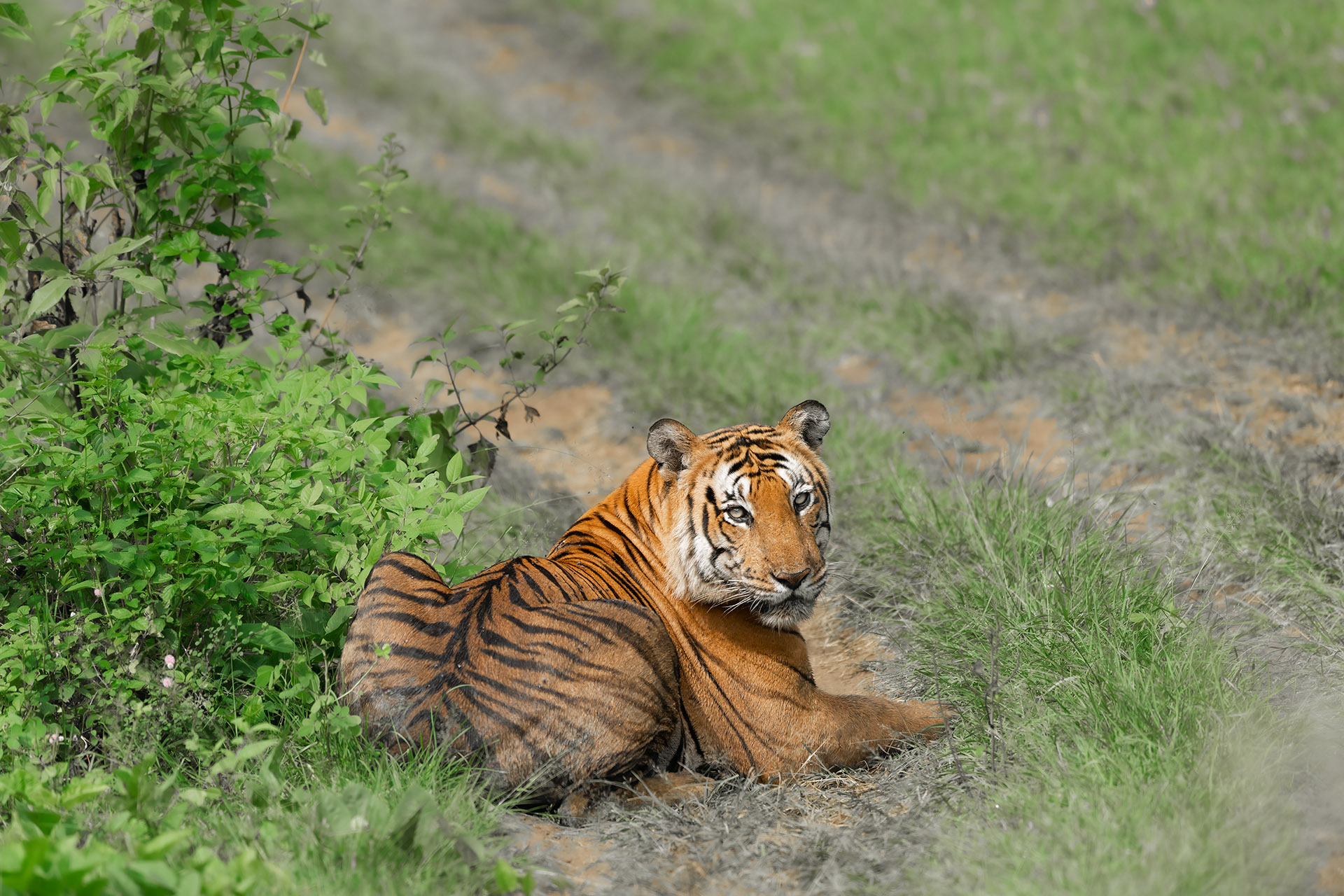 _DSC7790-Edit-2.jpg