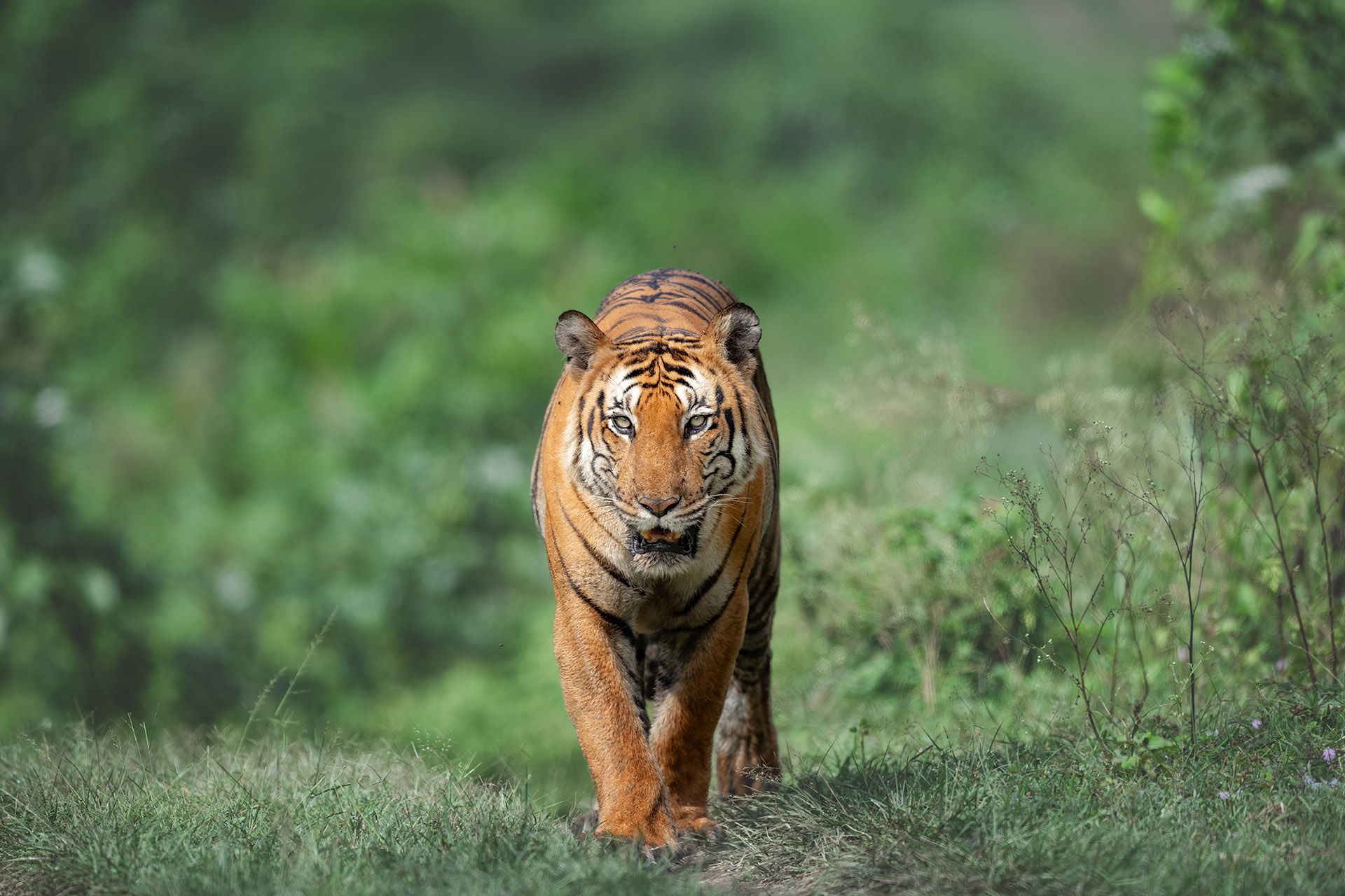 _DSC7904-Edit-3.jpg