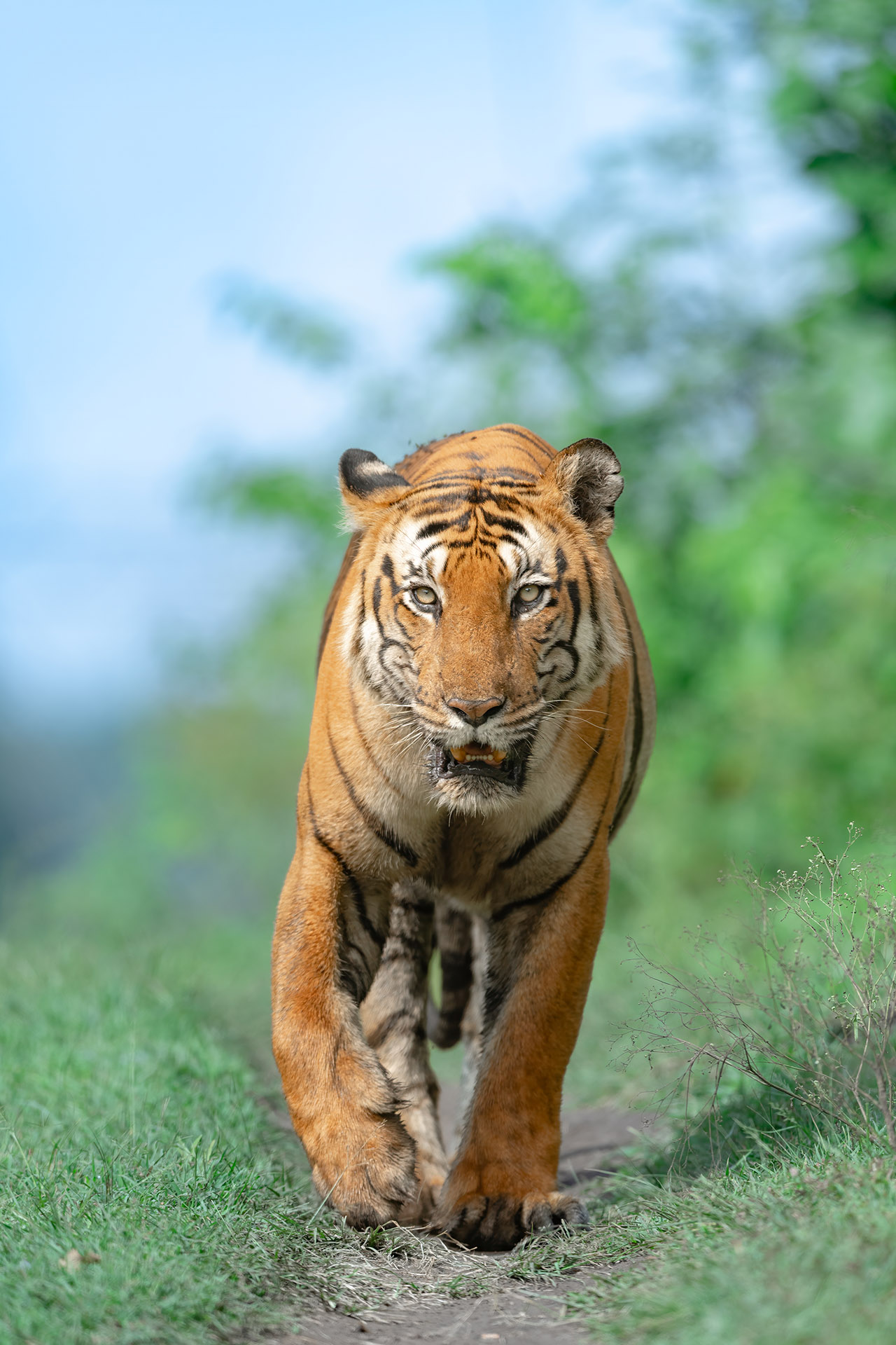 _DSC7981-Edit-2.jpg